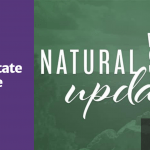 Natural State Update