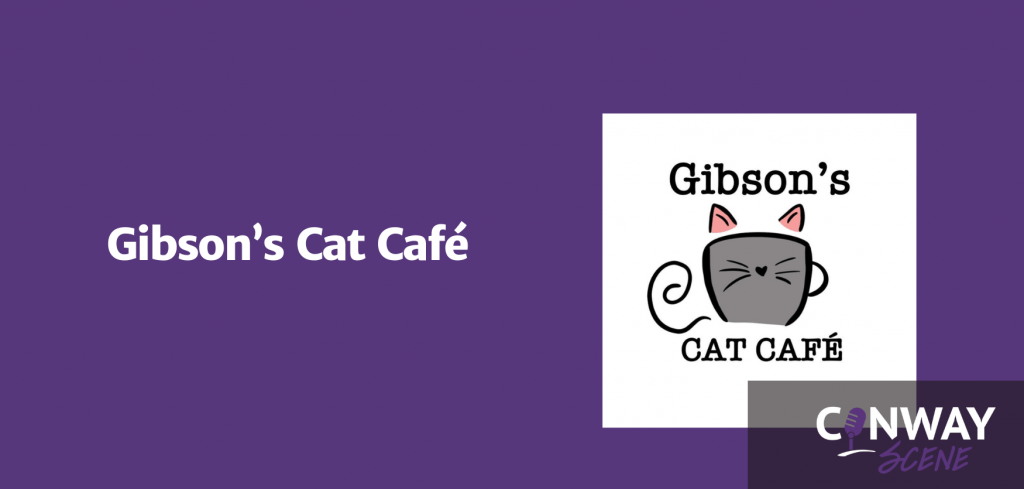 Gibson’s Cat Café