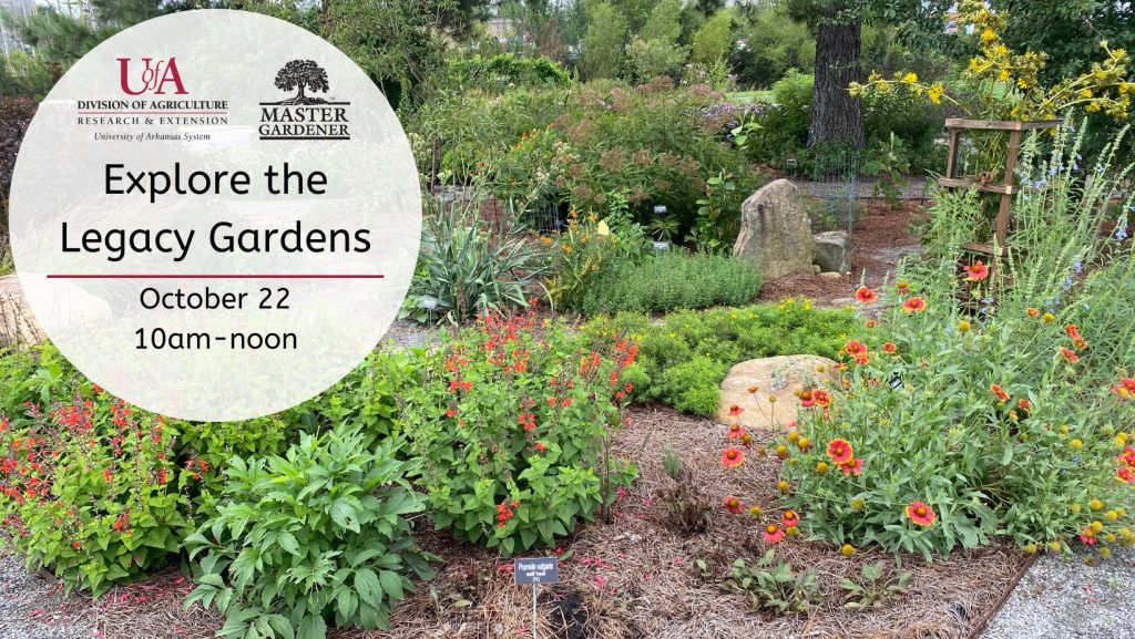 Explore the Legacy Garden
