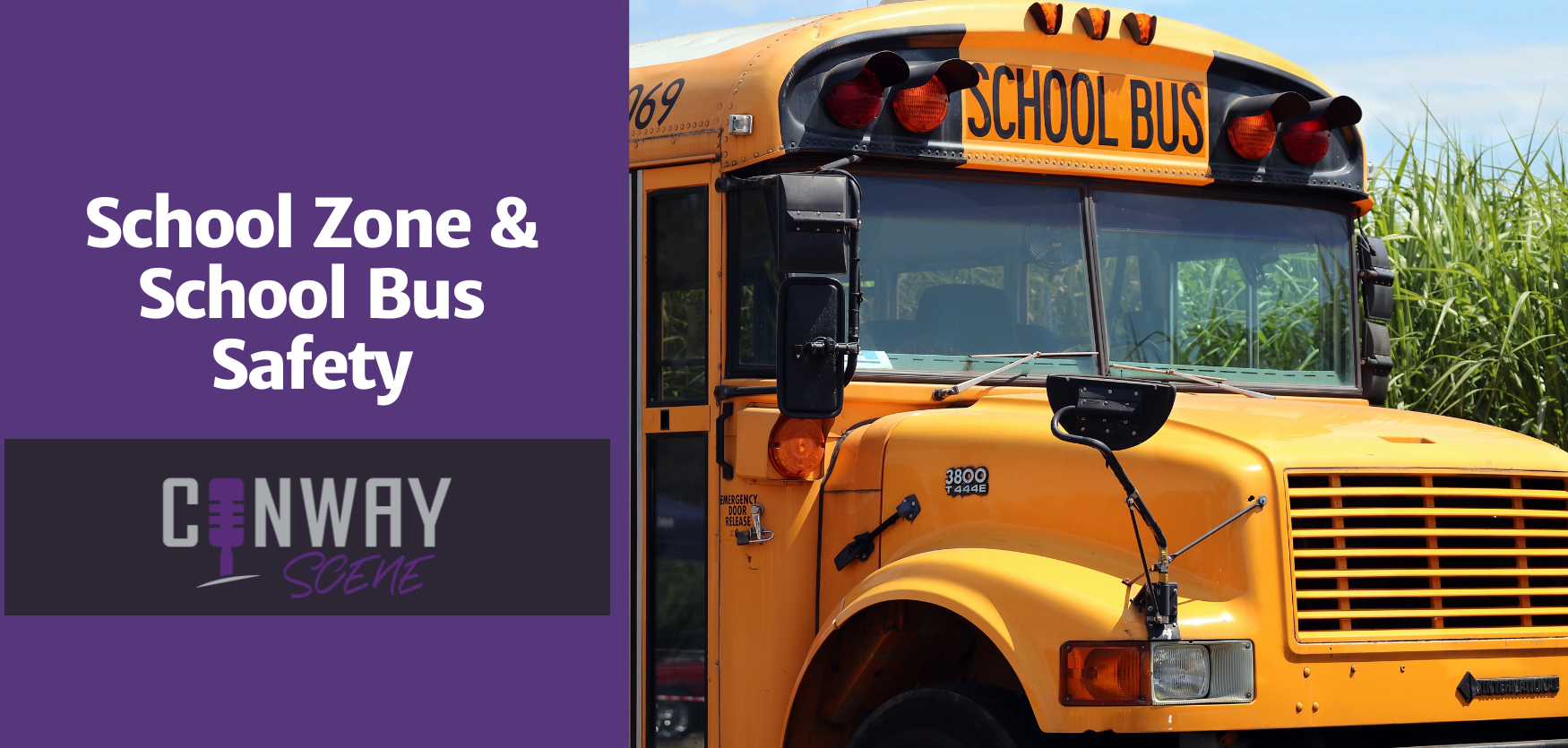 School Zone & School Bus Safety