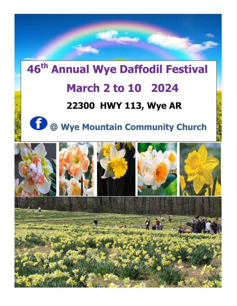 Wye Mountain Daffodil Festival Conway Scene